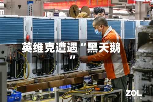 英维克遭遇“黑天鹅”-第1张图片