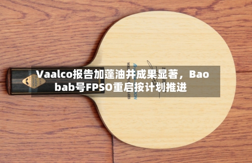 Vaalco报告加蓬油井成果显著	，Baobab号FPSO重启按计划推进-第1张图片