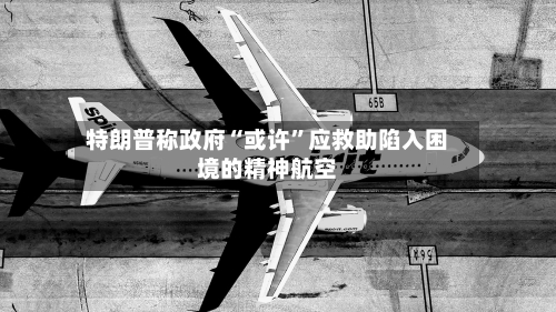 特朗普称政府“或许	”应救助陷入困境的精神航空-第2张图片