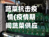 蔬菜抗击疫情(疫情期间蔬菜供应方案)-第1张图片