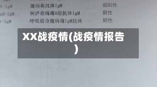 XX战疫情(战疫情报告)-第1张图片