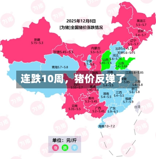 连跌10周	，猪价反弹了-第1张图片