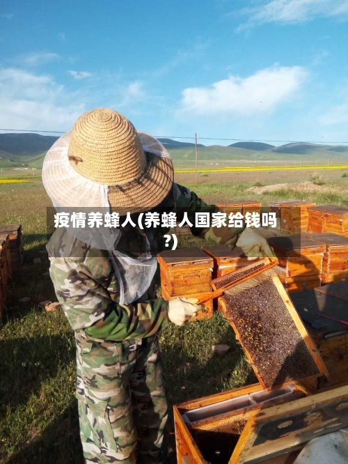 疫情养蜂人(养蜂人国家给钱吗?)-第1张图片