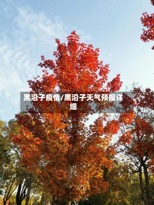 黑沿子疫情/黑沿子天气预报详细-第1张图片