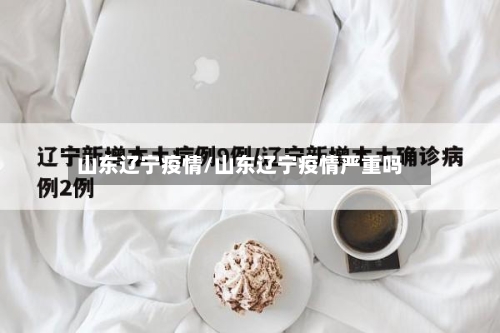 山东辽宁疫情/山东辽宁疫情严重吗-第1张图片