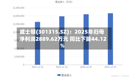 威士顿(301315.SZ)：2025年归母净利润2889.62万元 同比下降44.12%-第1张图片
