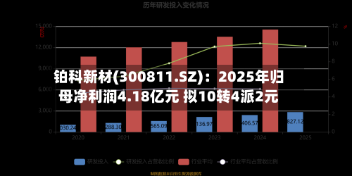 铂科新材(300811.SZ)：2025年归母净利润4.18亿元 拟10转4派2元-第1张图片
