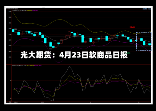 光大期货：4月23日软商品日报-第1张图片