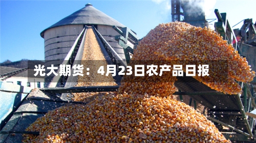 光大期货：4月23日农产品日报-第1张图片