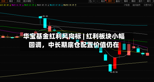华宝基金红利风向标 | 红利板块小幅回调	，中长期底仓配置价值仍在-第1张图片