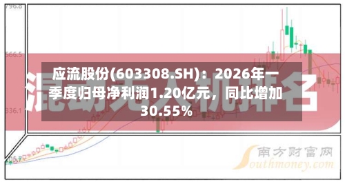 应流股份(603308.SH)：2026年一季度归母净利润1.20亿元，同比增加30.55%-第1张图片