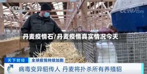丹麦疫情石/丹麦疫情真实情况今天-第1张图片