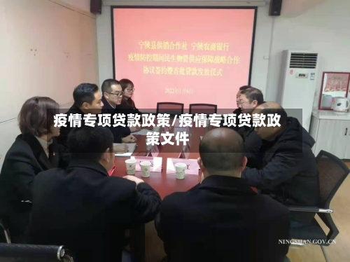 疫情专项贷款政策/疫情专项贷款政策文件-第1张图片