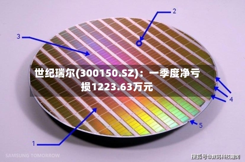 世纪瑞尔(300150.SZ)：一季度净亏损1223.63万元-第1张图片
