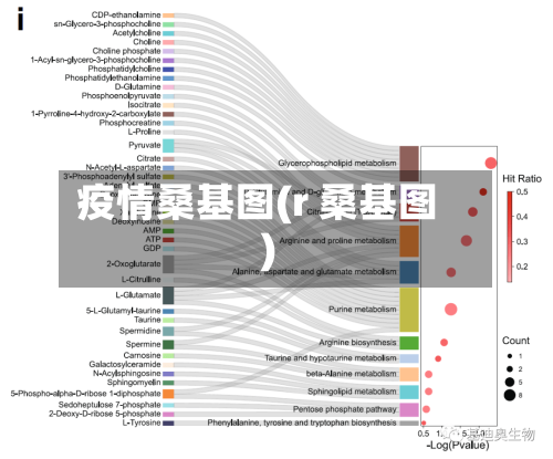 疫情桑基图(r 桑基图)-第1张图片