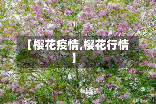 【樱花疫情,樱花行情】-第1张图片