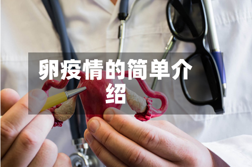 卵疫情的简单介绍-第1张图片