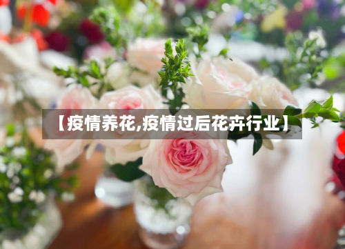 【疫情养花,疫情过后花卉行业】-第1张图片