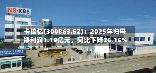 卡倍亿(300863.SZ)：2025年归母净利润1.19亿元	，同比下降26.15%-第1张图片