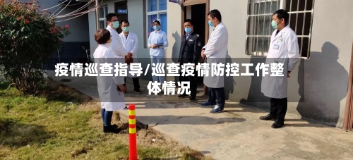 疫情巡查指导/巡查疫情防控工作整体情况-第1张图片