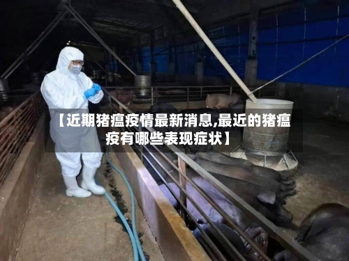 【近期猪瘟疫情最新消息,最近的猪瘟疫有哪些表现症状】-第1张图片
