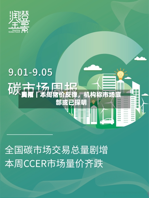 费用周报｜本周猪价反弹，机构称市场底部或已探明-第1张图片