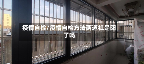 疫情自检/疫情自检方法两道杠是阳了吗-第1张图片