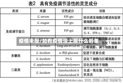 疫情未报/如有疫情没上报什么后果-第1张图片