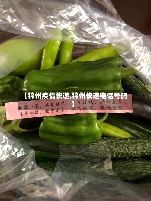 【锦州疫情快递,锦州快递电话号码】-第1张图片