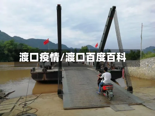 渡口疫情/渡口百度百科-第1张图片