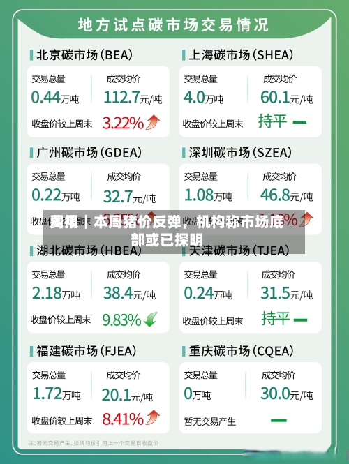 费用周报｜本周猪价反弹，机构称市场底部或已探明-第1张图片
