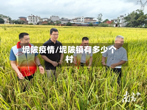 坭陂疫情/坭陂镇有多少个村-第1张图片