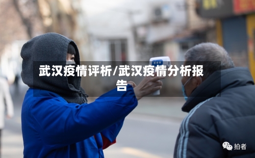 武汉疫情评析/武汉疫情分析报告-第1张图片