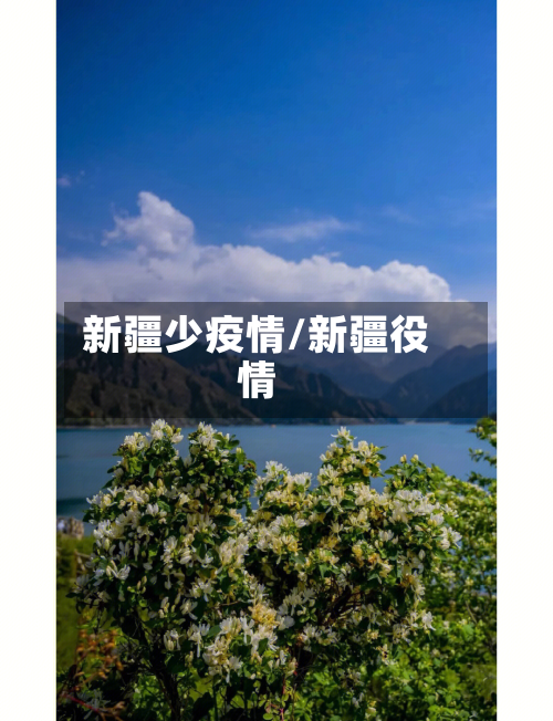 新疆少疫情/新疆役情-第1张图片