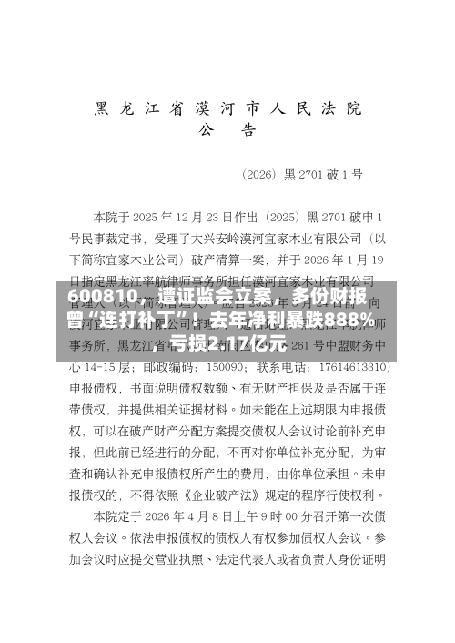 600810	，遭证监会立案，多份财报曾“连打补丁	”！去年净利暴跌888%，亏损2.17亿元-第1张图片