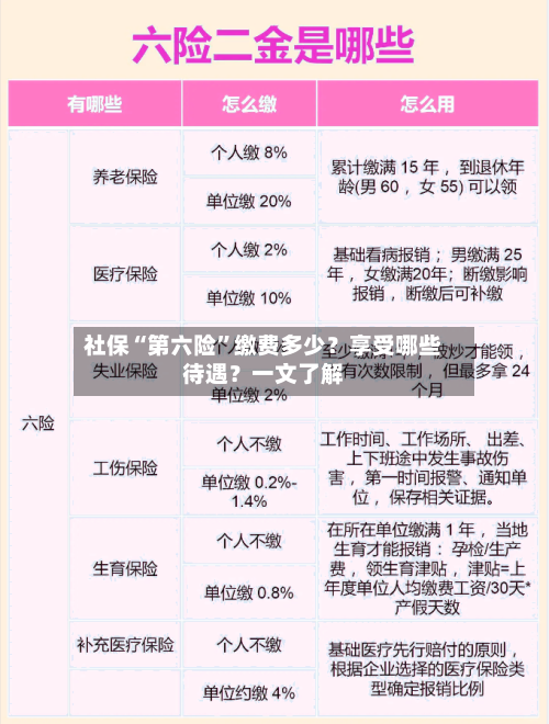 社保“第六险”缴费多少？享受哪些待遇？一文了解-第1张图片