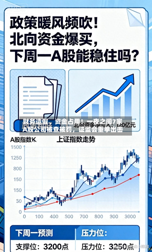 财务造假、资金占用！一夜之间7家A股公司被查被罚，证监会重拳出击-第1张图片