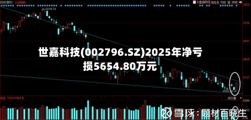 世嘉科技(002796.SZ)2025年净亏损5654.80万元-第1张图片