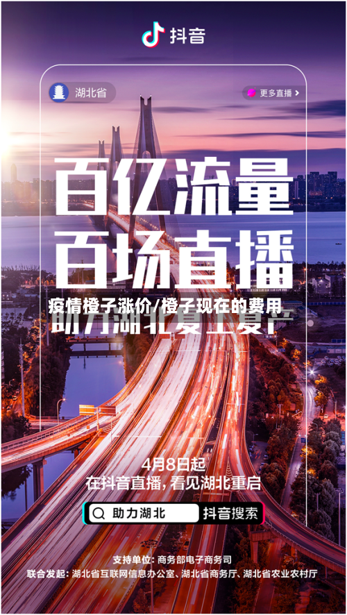 疫情橙子涨价/橙子现在的费用-第1张图片
