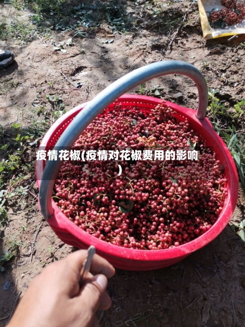 疫情花椒(疫情对花椒费用的影响)-第1张图片