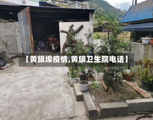 【黄旗埠疫情,黄旗卫生院电话】-第1张图片