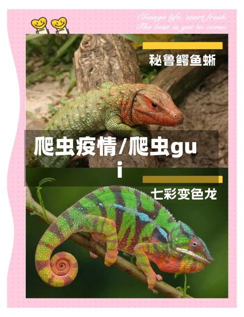 爬虫疫情/爬虫gui-第1张图片