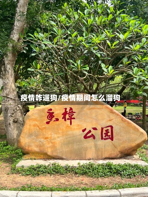疫情咋遛狗/疫情期间怎么溜狗-第1张图片