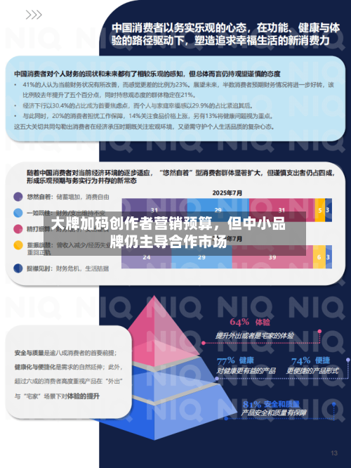 大牌加码创作者营销预算，但中小品牌仍主导合作市场-第1张图片