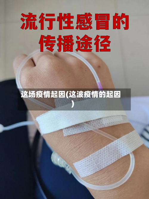 这场疫情起因(这波疫情的起因)-第2张图片