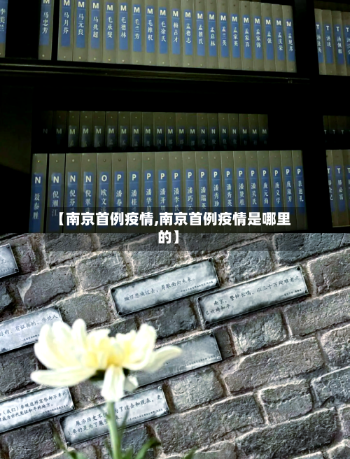 【南京首例疫情,南京首例疫情是哪里的】-第1张图片