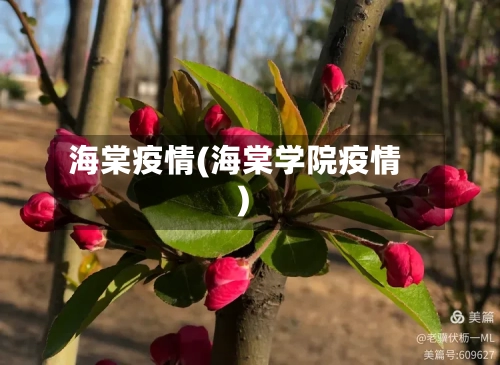 海棠疫情(海棠学院疫情)-第1张图片