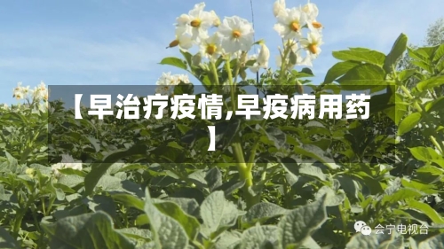 【早治疗疫情,早疫病用药】-第1张图片