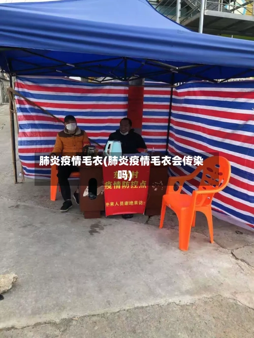 肺炎疫情毛衣(肺炎疫情毛衣会传染吗)-第1张图片