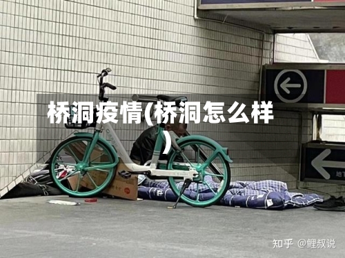 桥洞疫情(桥洞怎么样)-第1张图片